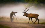 How Photographers get their Shots and Miss the Picture.