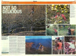 Apple Farming in Shimla District. Story of Rapid Economic Prosperity and Deforestation.