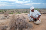 Ranaram Bishnoi- The 75 year Old who Stopped the March of the Desert