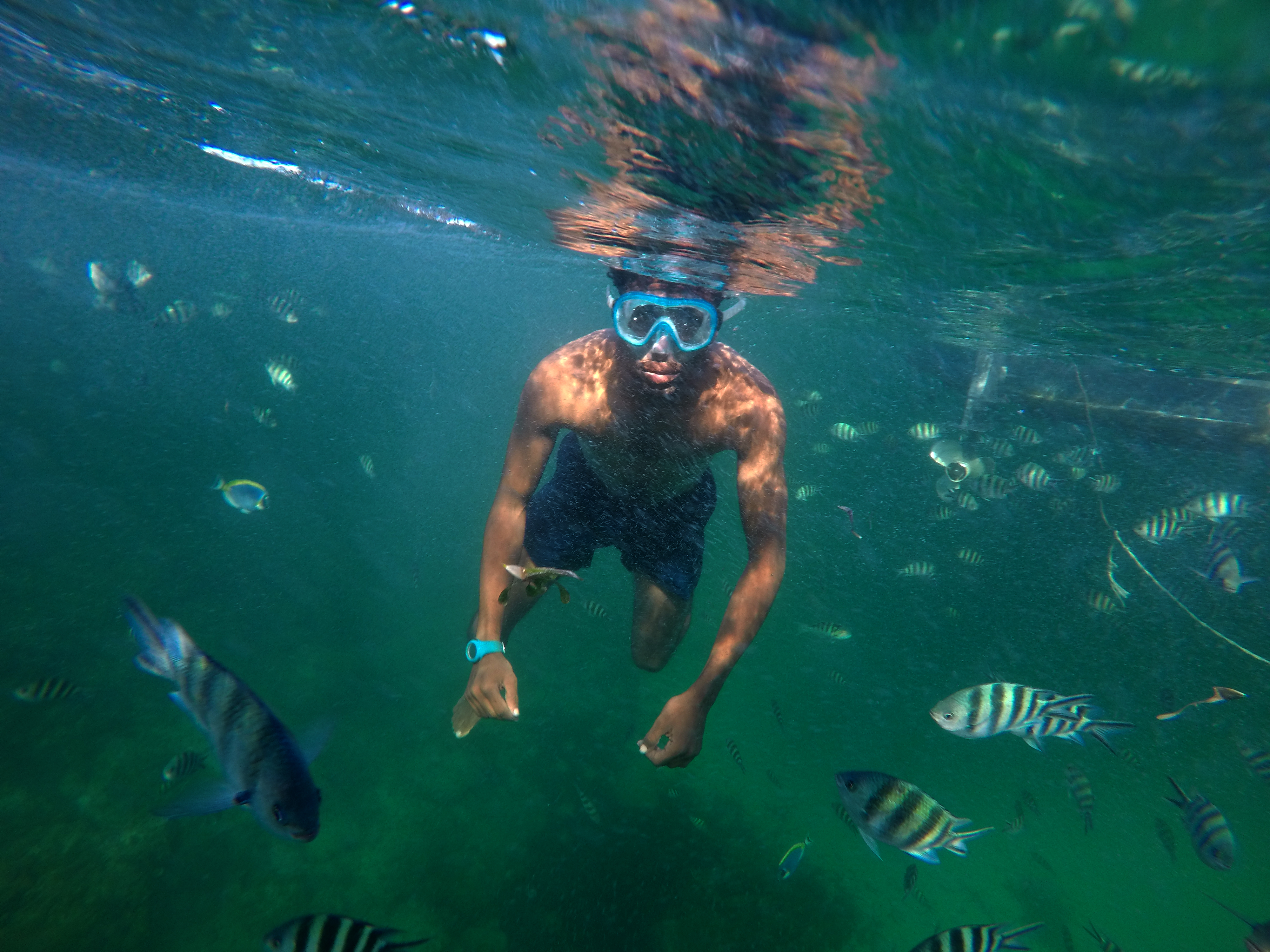 Treasures Of The Sea. Watamu, Kenya
