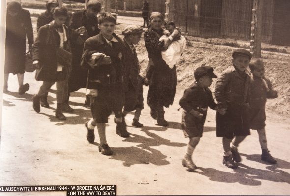 Auschwitz: It Horrifies. But it Should Not Surprise Anyone.
